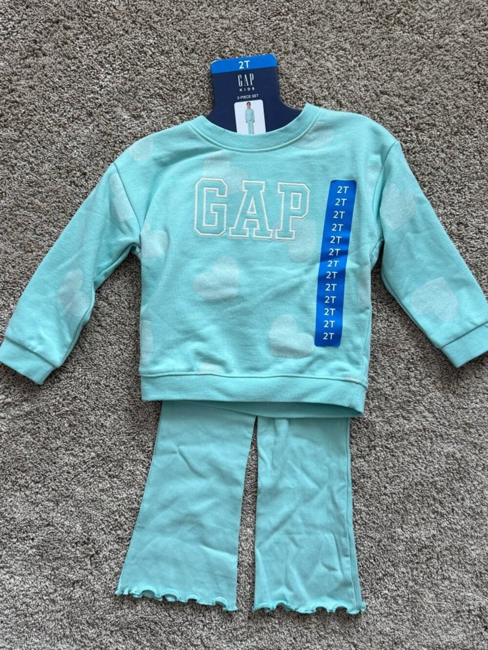 NWT Gap Kids 2-Piece Sweatshirt & Leggings Set - 2T